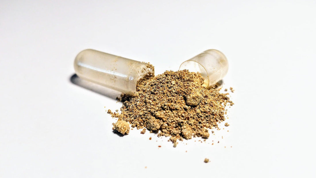 Ingredient Spotlight: Ashwagandha
