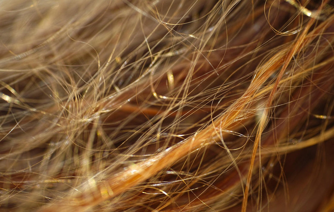 Ingredient Spotlight: MSM (Methylsulfonylmethane)