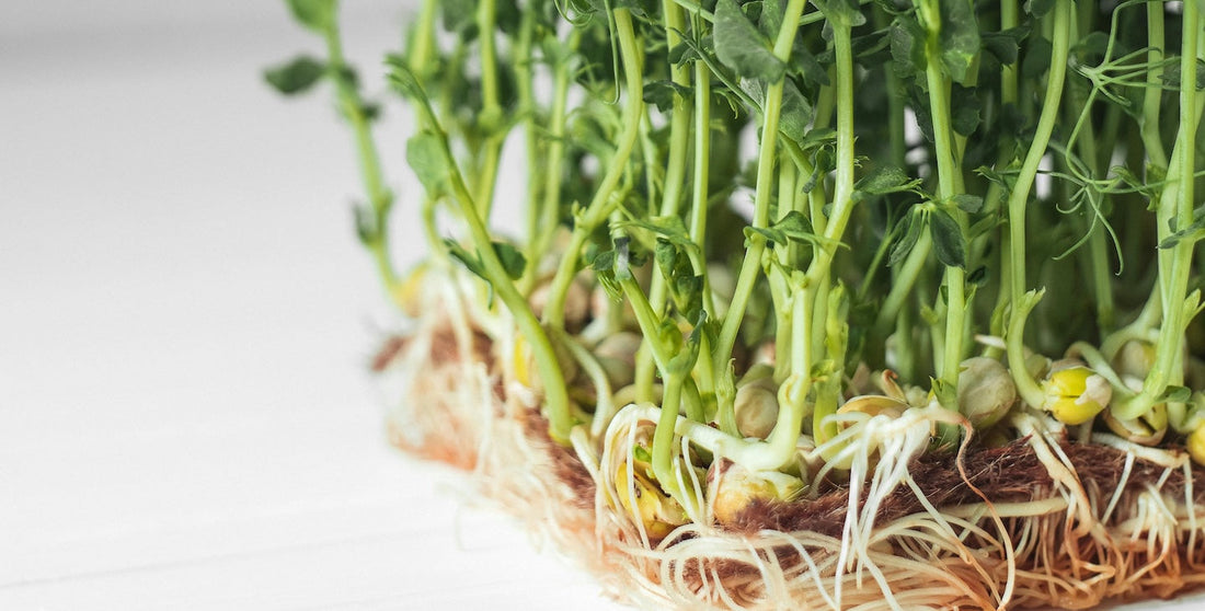 AnaGain for Hair Growth: What It Is, How It Works, and What the Research Actually Shows